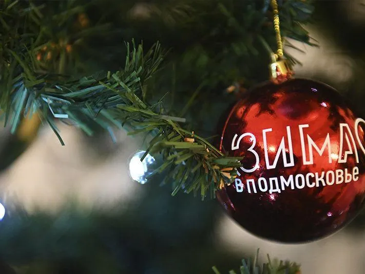 В Подмосковье выберут лучшую елку региона