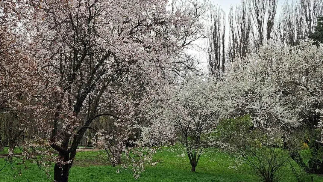 REGIONS/Николай Мулянский