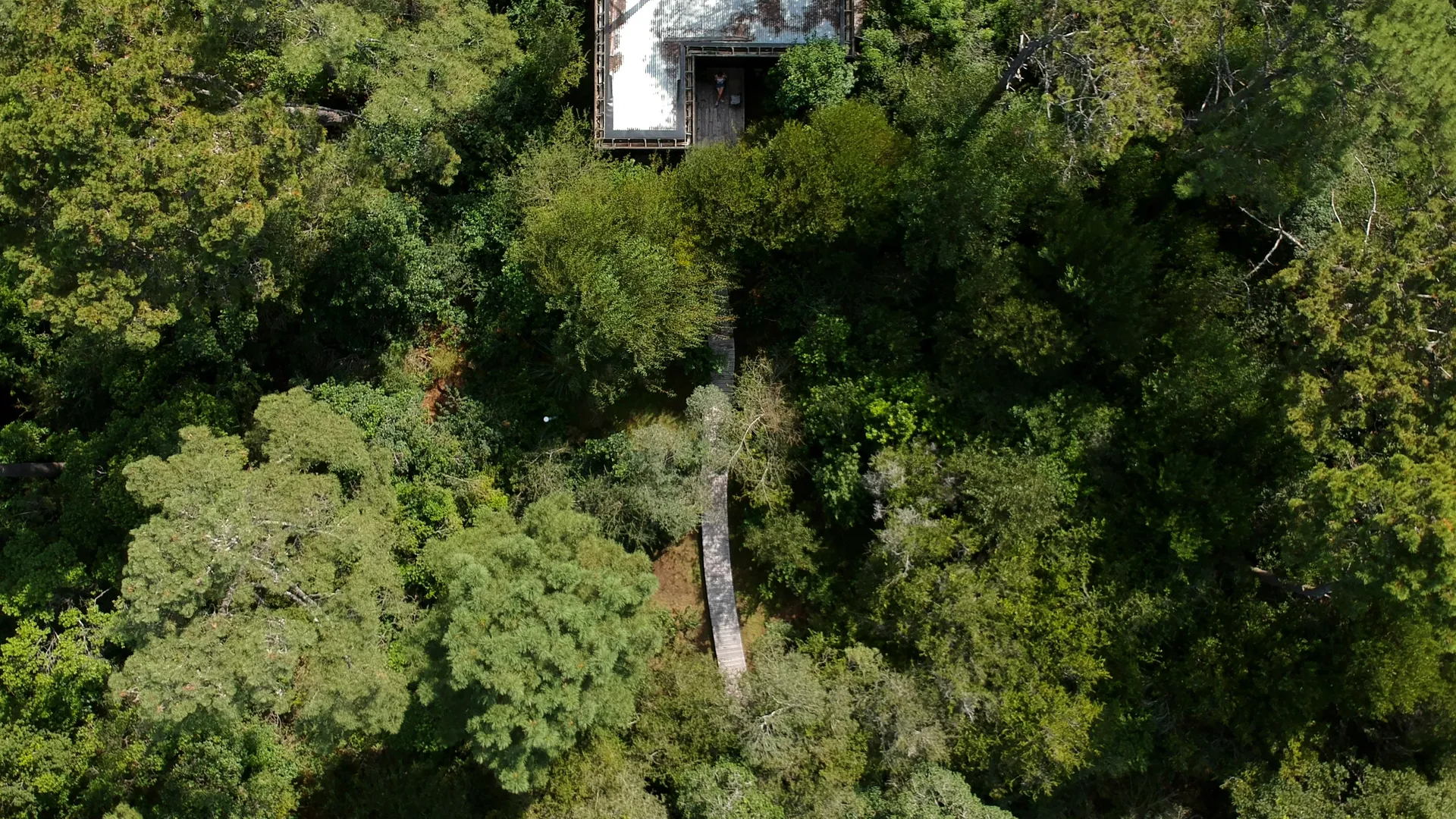 Фото: unsplash.com