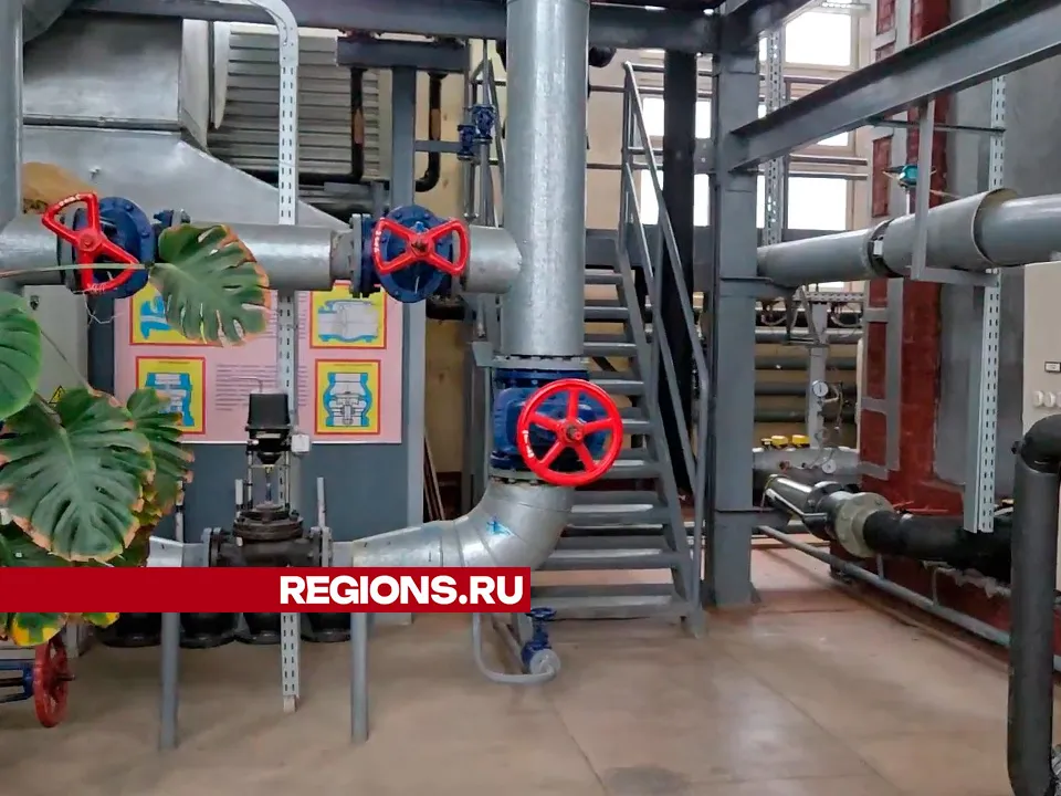 Фото: Елена Аботурова&nbsp;