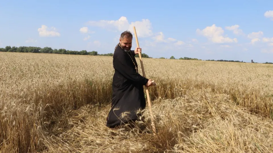 Фото: МедиаБанк Подмосковья/Ирина Матвеева