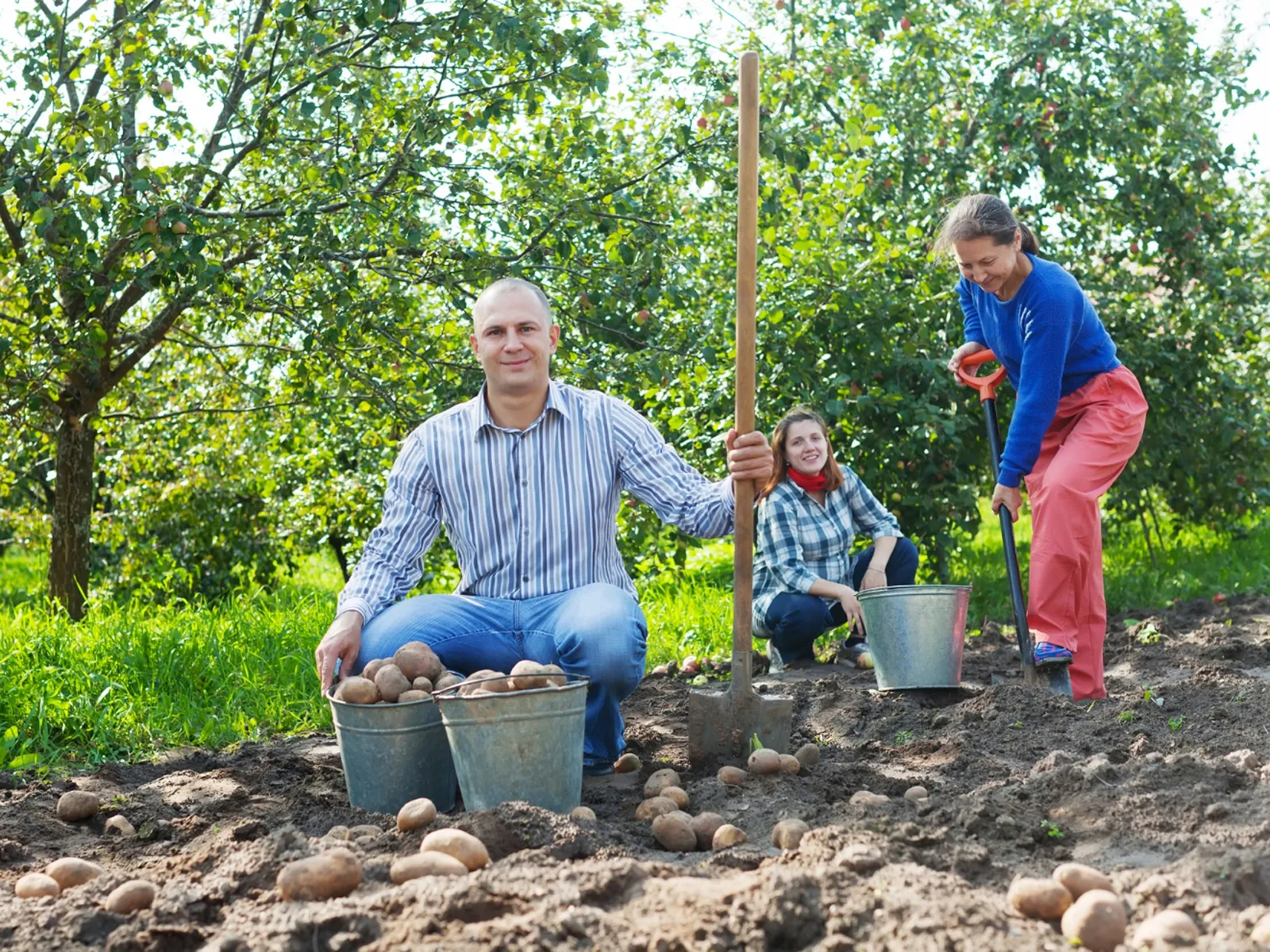 Фото: freepik.com