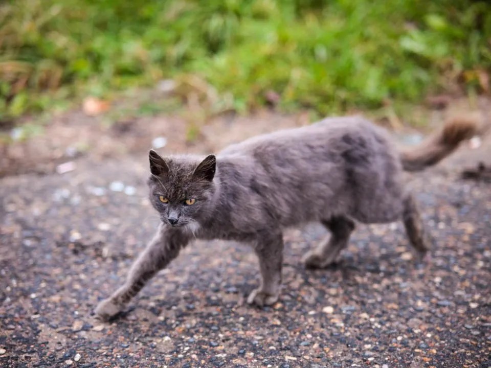 Фото:&nbsp;REGIONS/Владимир Ерастов