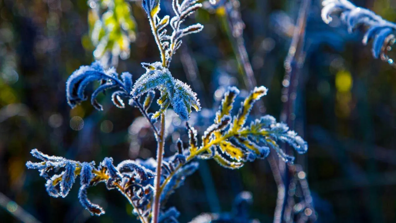 REGIONS/Владимир Ерастов