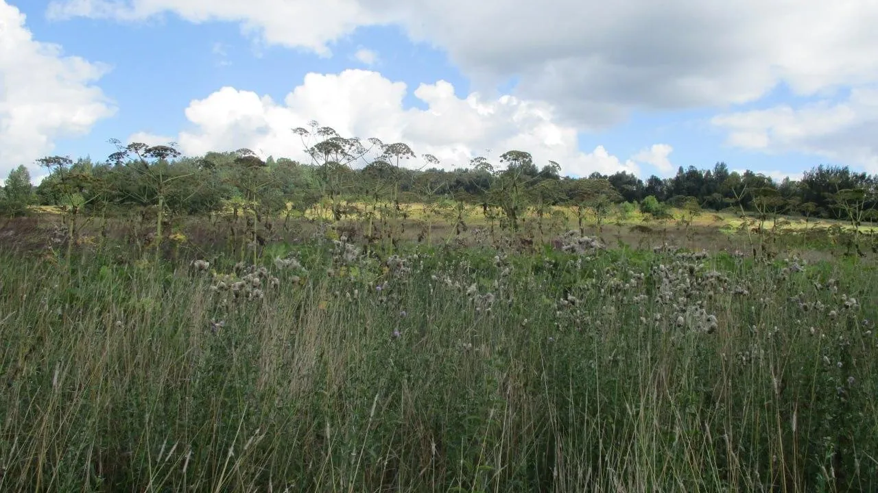 Россельхознадзор