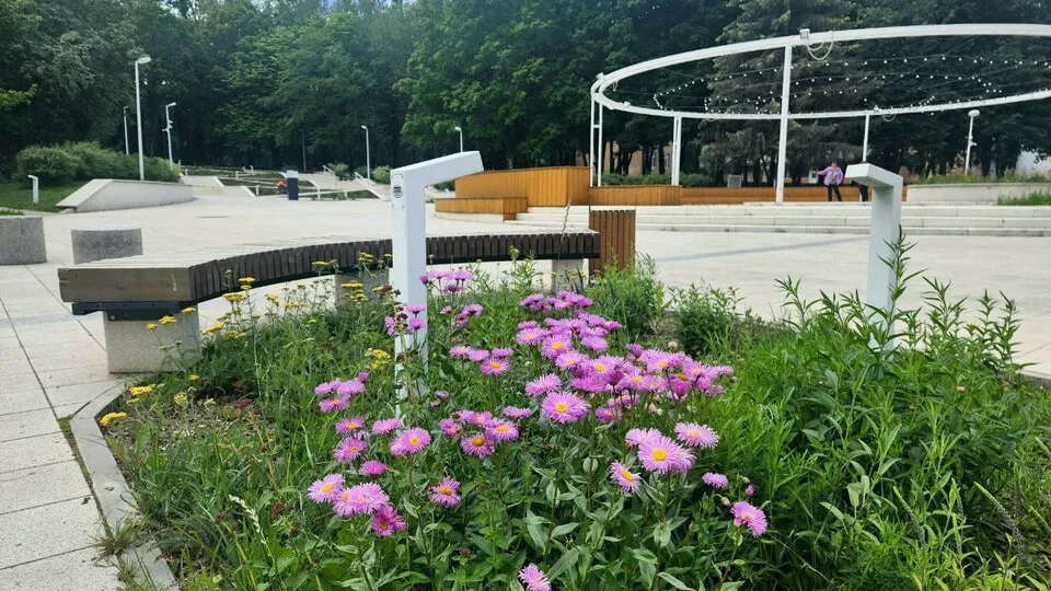 Фото: Мария Панина