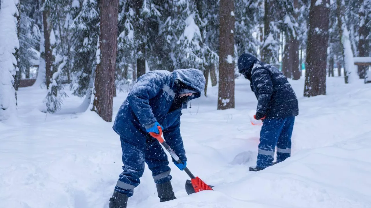 Министерство благоустройства МО
