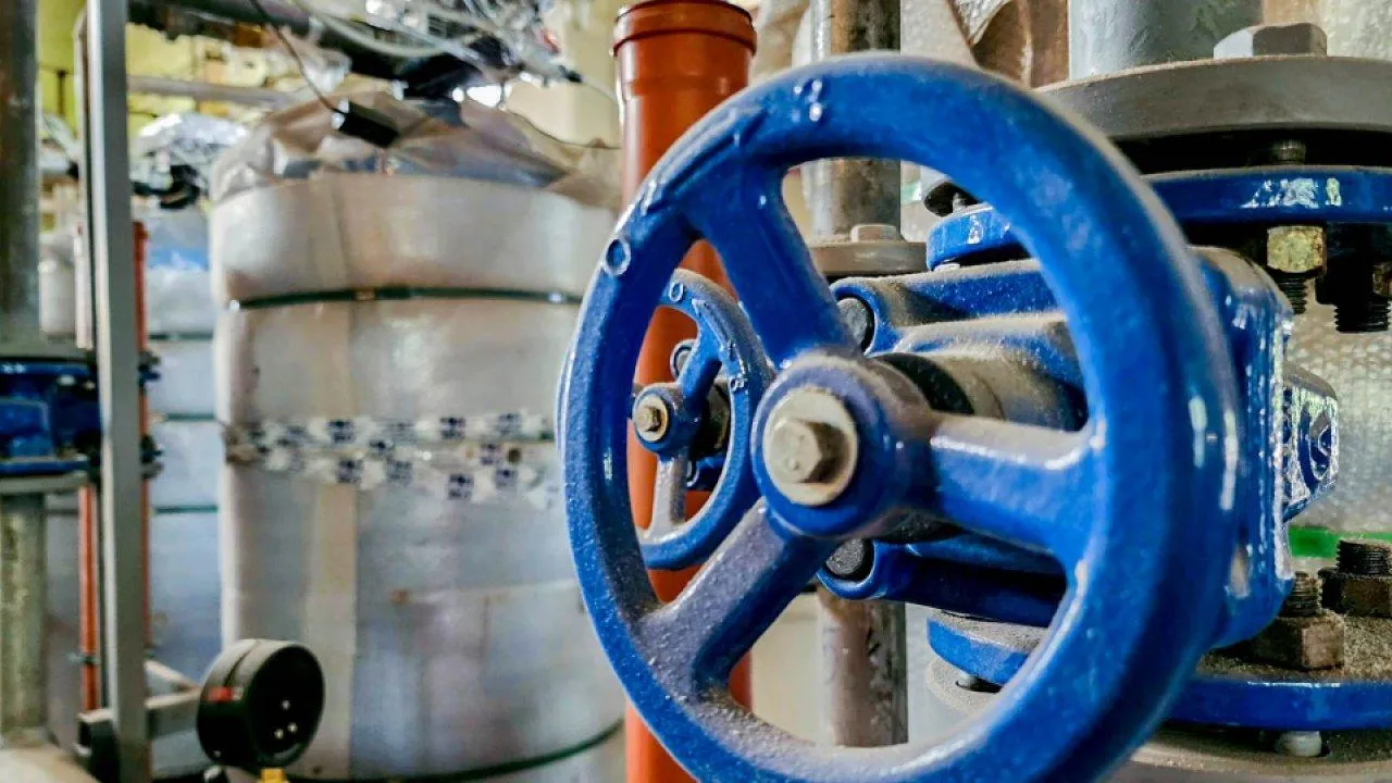 пресс-служба губернатора и правительства Московской области/Александра Степанова