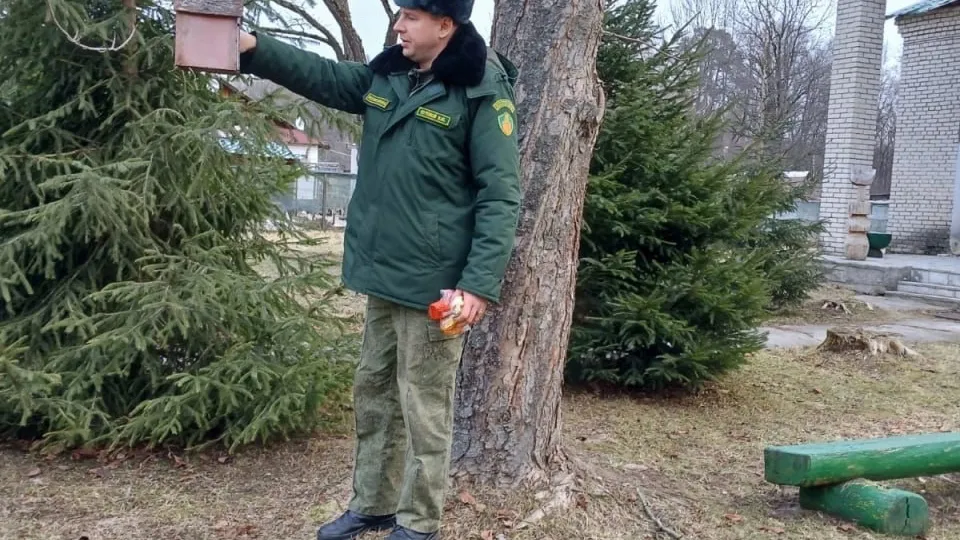 Фото: «Русский лес»