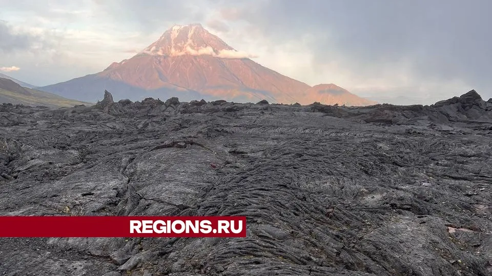 Фото: личный архив Алены Парусовой
