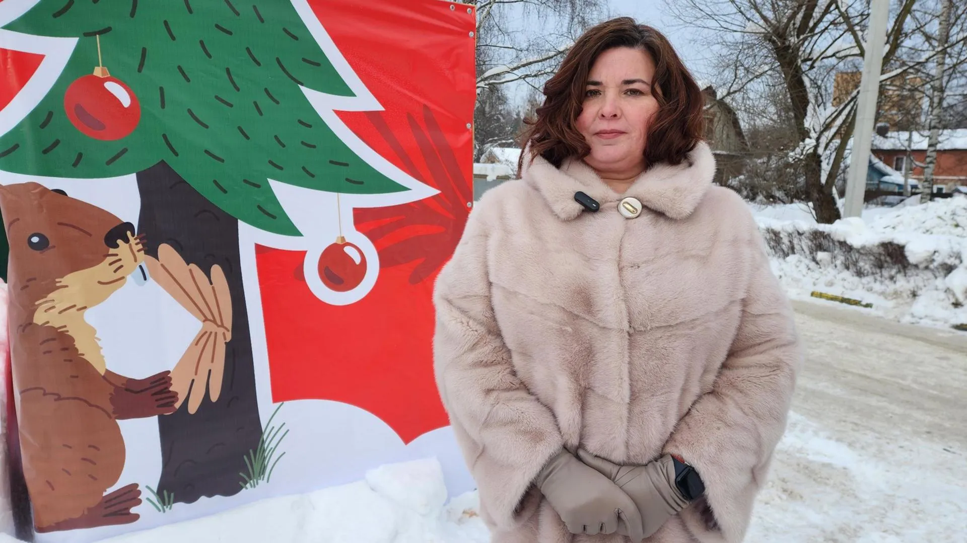 МедиаБанк Подмосковья/Ирина Моисеева