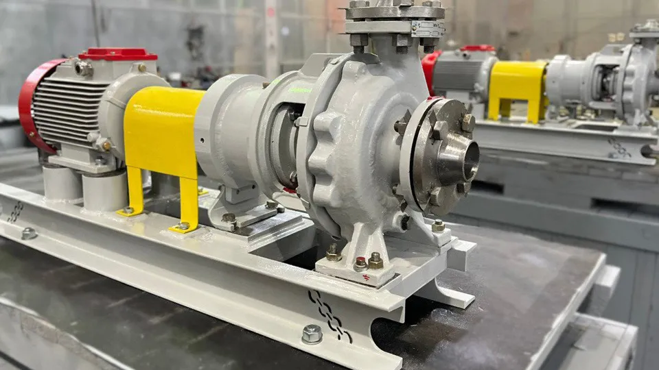 Фото: пресс-служба администрации г.о. Щелково