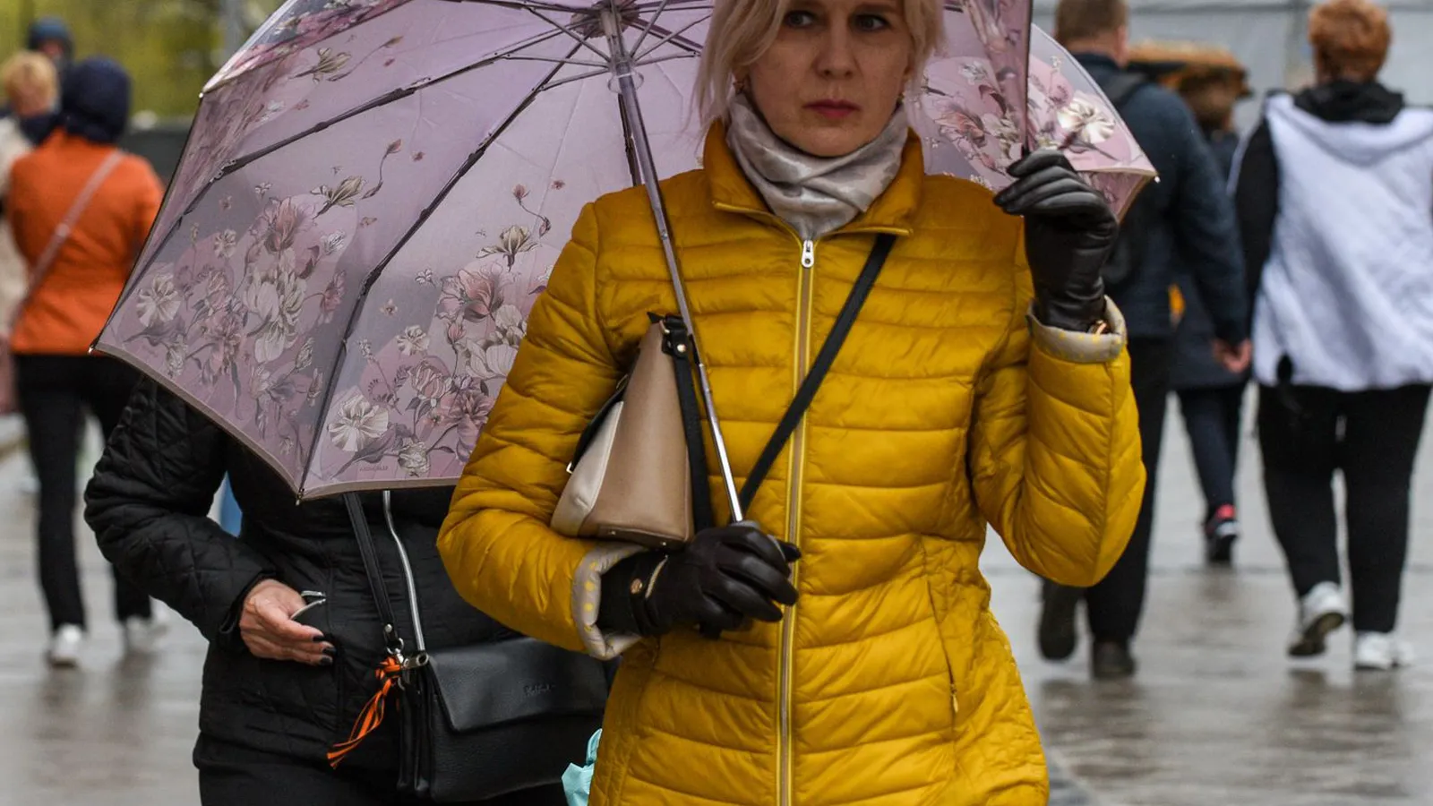 Фото: медиасток.рф