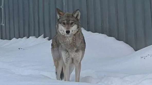 Фото Минэкологии