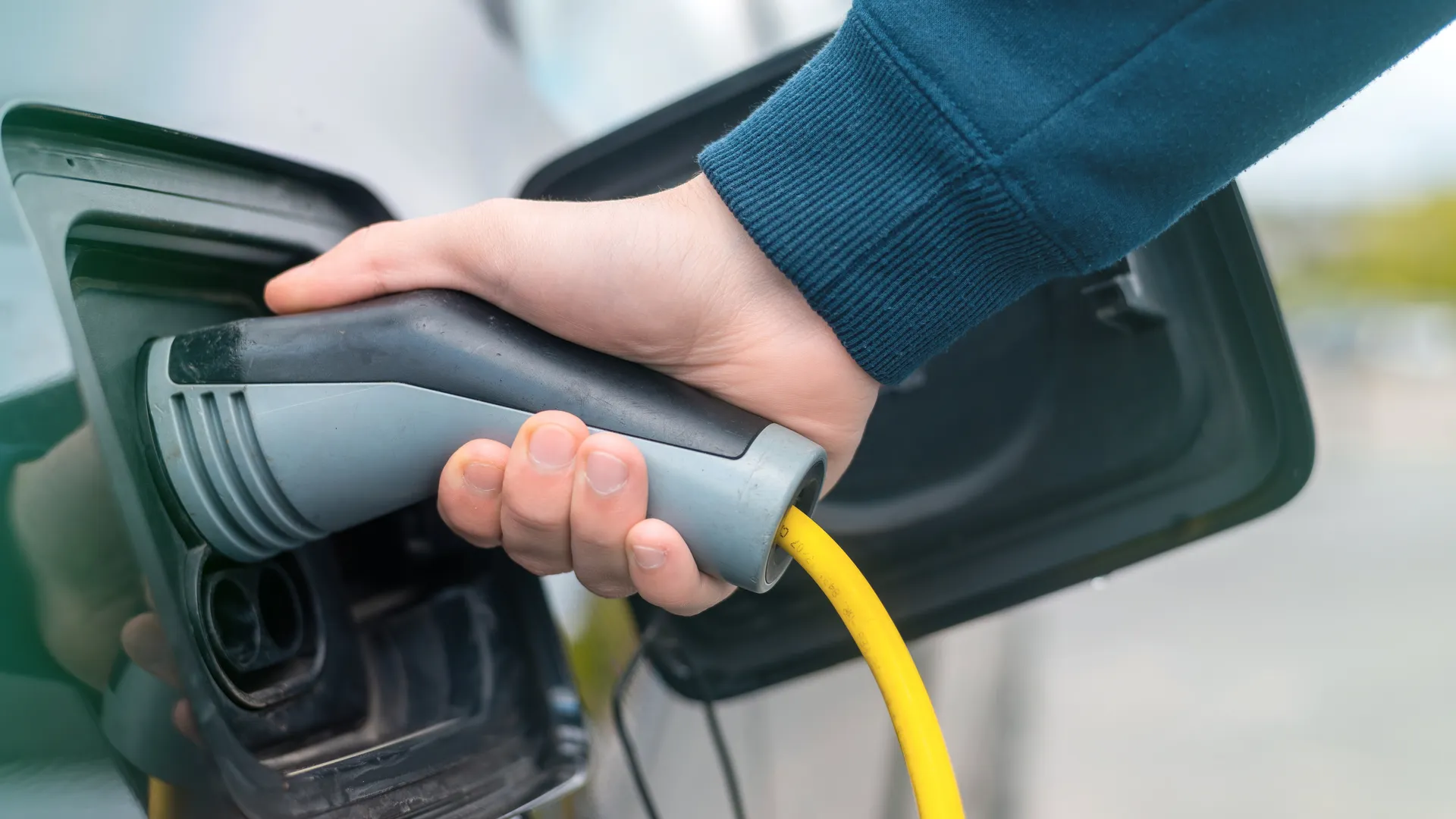 Фото: freepik.com