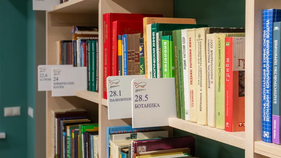 Фото: медиасток.рф