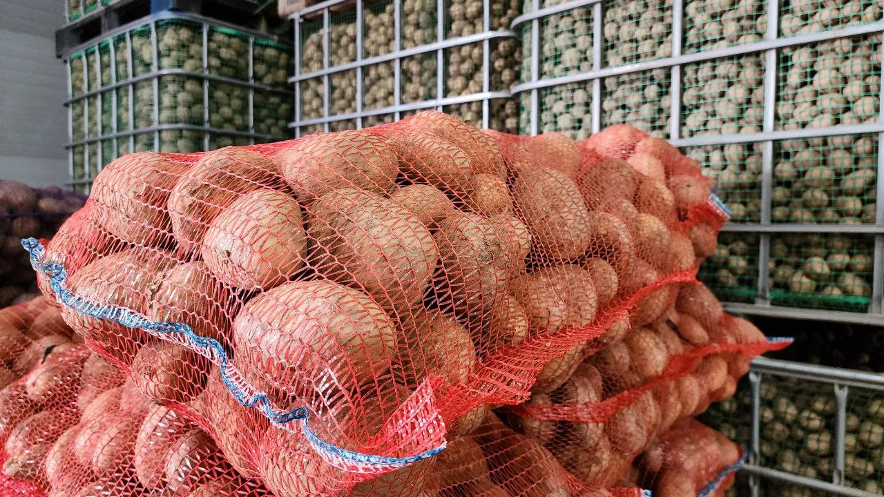 Фото: МедиаБанк Подмосковья/Яна Шаливская