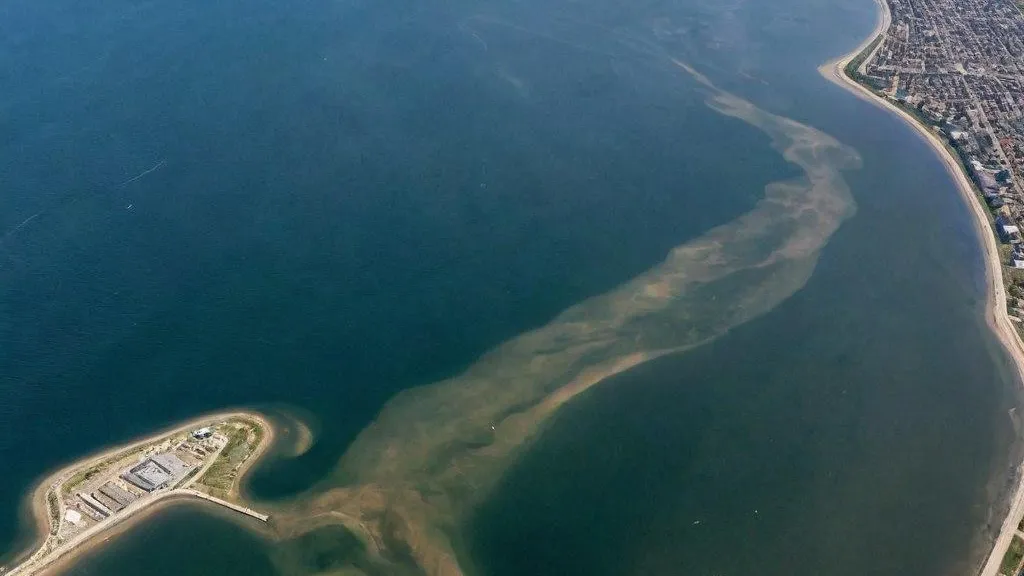 Насколько опасно купаться и есть рыбу: полный разбор современного состояния Азовского моря