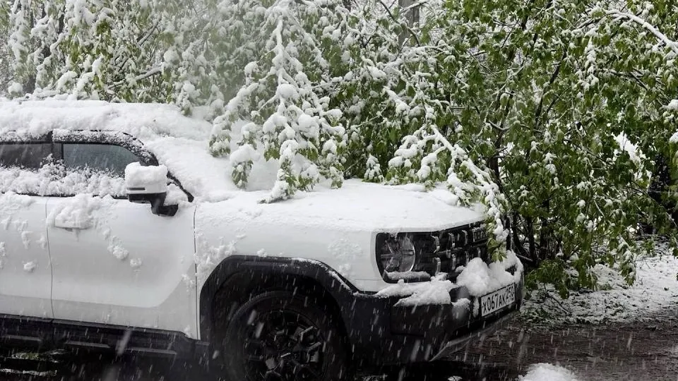 Фото: Дарья Леонова