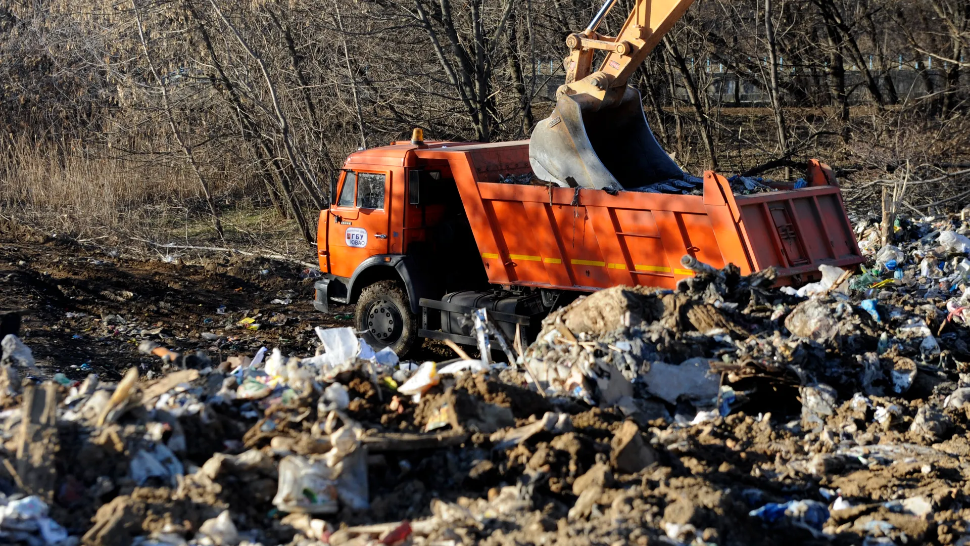 Медиаархив Подмосковья photo.mosreg