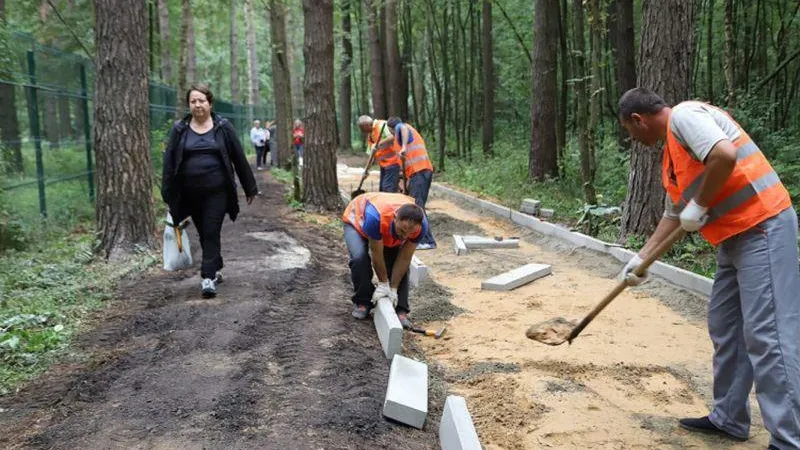 Под Красногорском обустраивают лесную дорожку от станции МЦД до поселка Новый