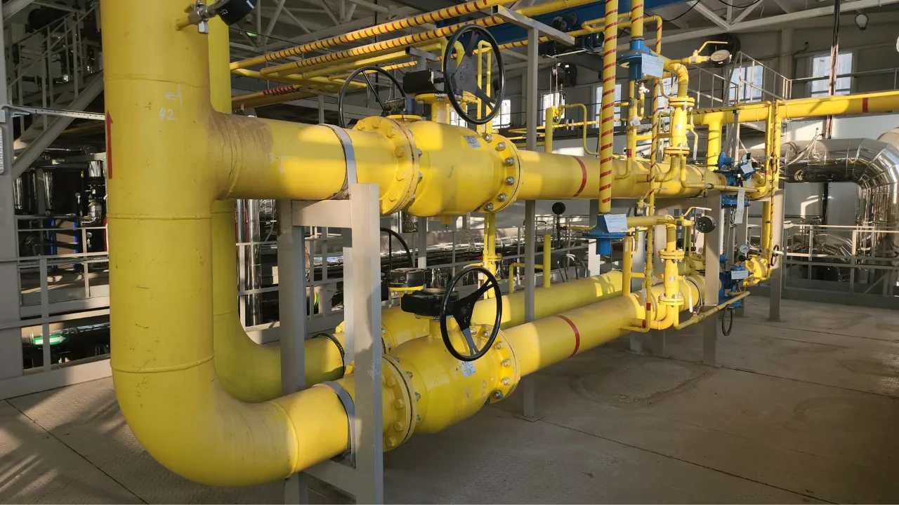 МедиаБанк Подмосковья/Наталья Лымарь