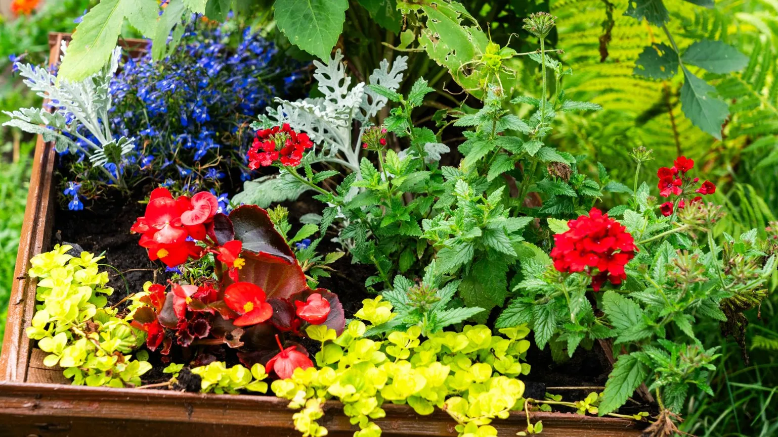 медиасток.рф