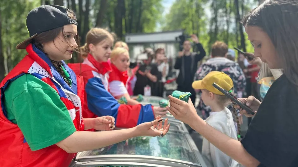 Фото: vk.com/Волонтеры Подмосковья | Мытищи | Импульс