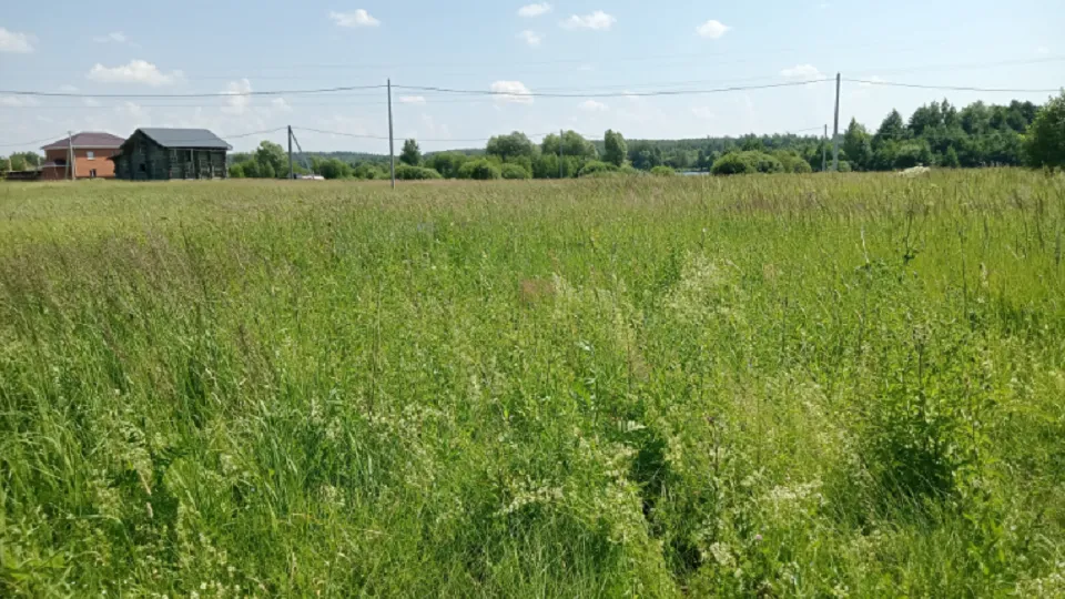 Фото: Единый портал торгов Московской области