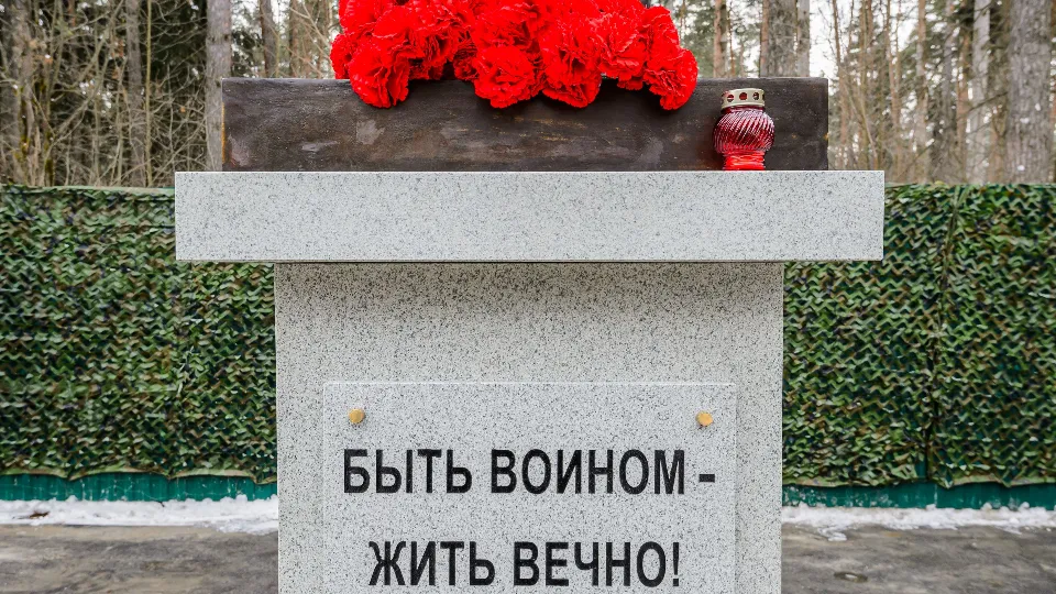 Фото: медиасток.рф