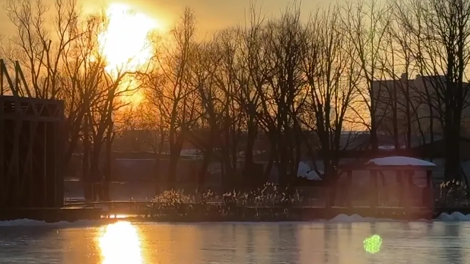 Фото: МедиаБанк Подмосковья/Ксения Казакова