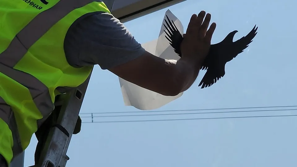 Фото: Кристина Тришина