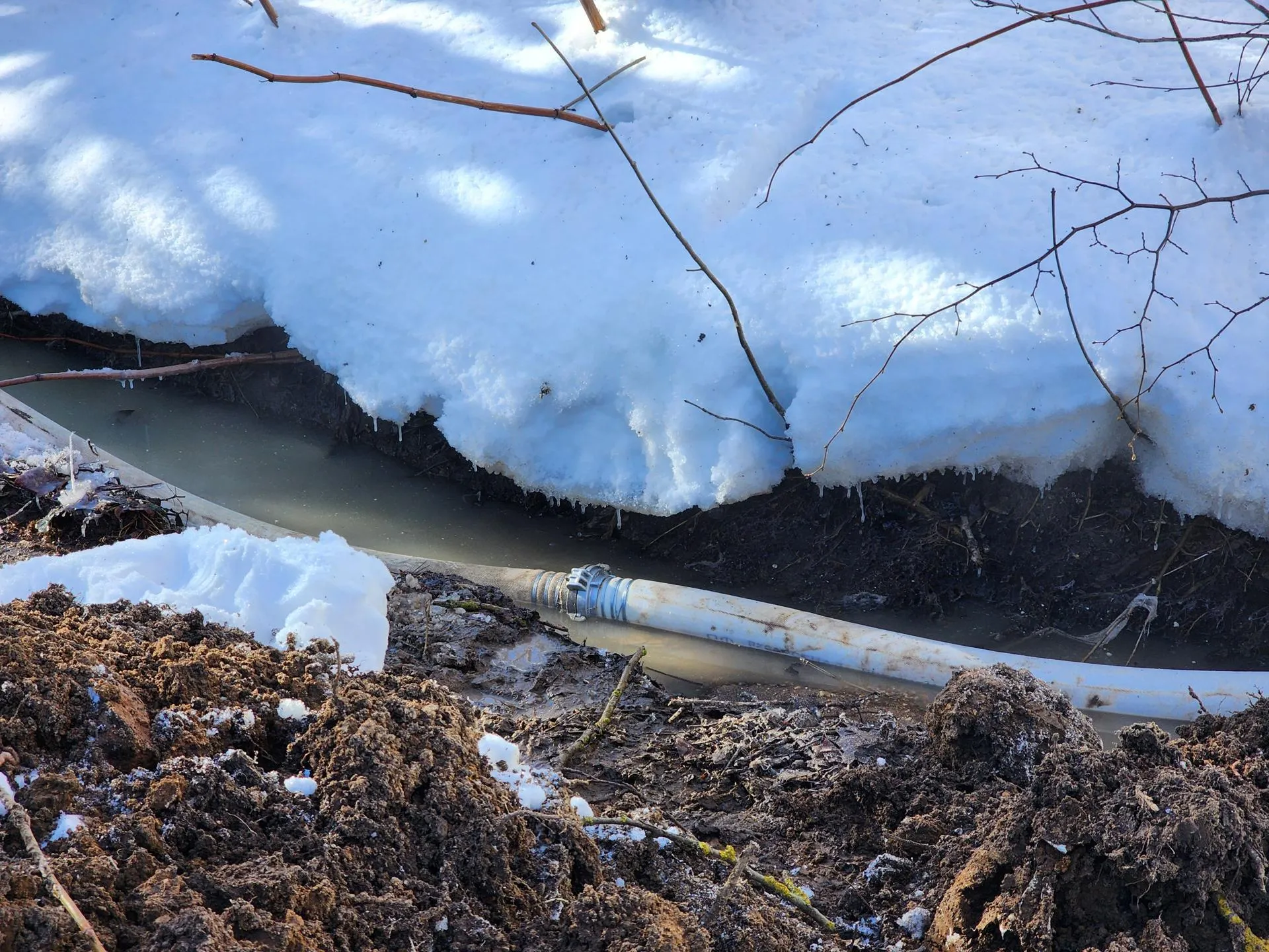 REGIONS/Елена Шумакова