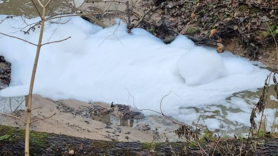 Пена в Туровке. Фото: Телеграм-канал «uprimskiy1». https://t.me/uprimskiy1/5410