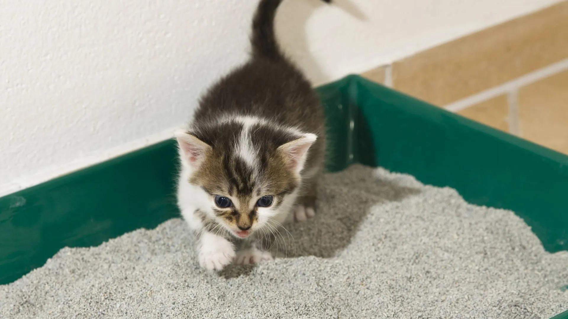 K. Wothe/blickwinkel/Global Look Press