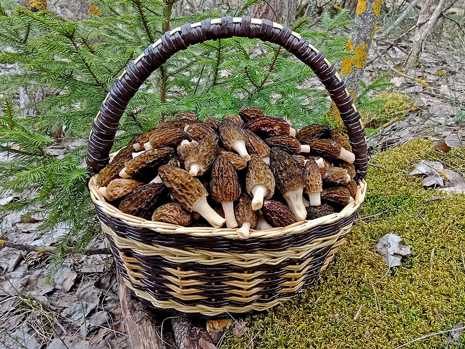 Фото:&nbsp;istockphoto.com