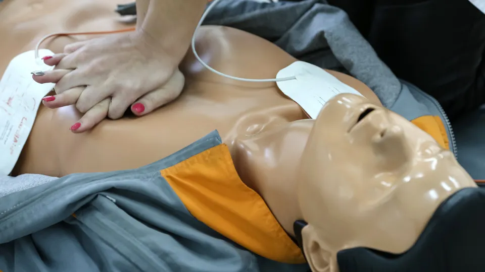 Фото: ТАСС/Александр Рюмин