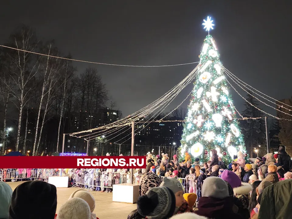 Фото: Ольга Шеметова