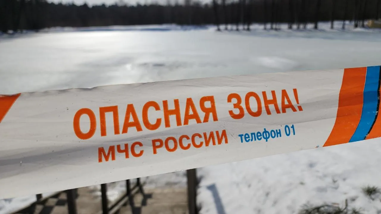 МедиаБанк Подмосковья/Юлия Андросова