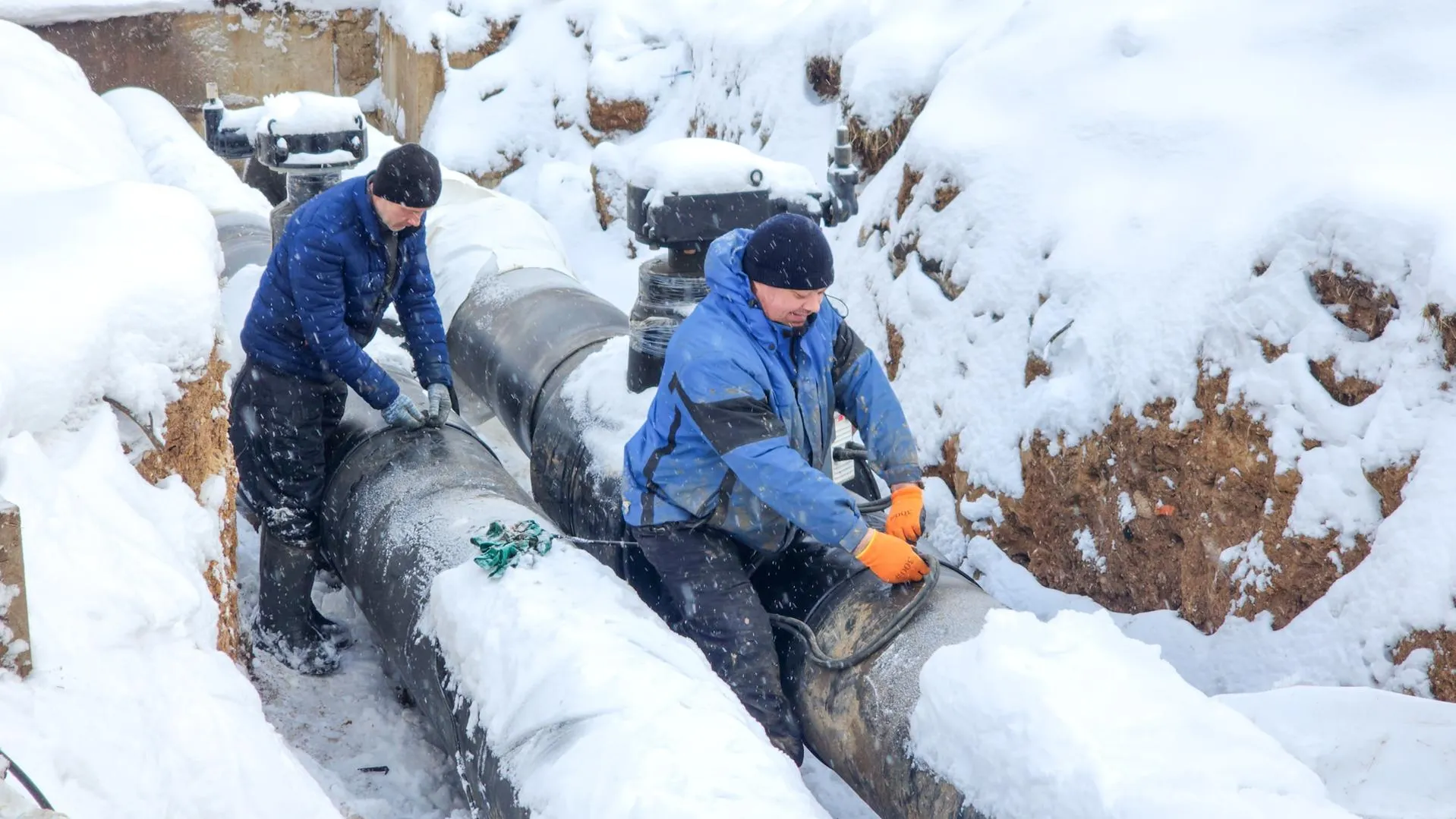 МедиаБанк Подмосковья/Мария Андрюхина