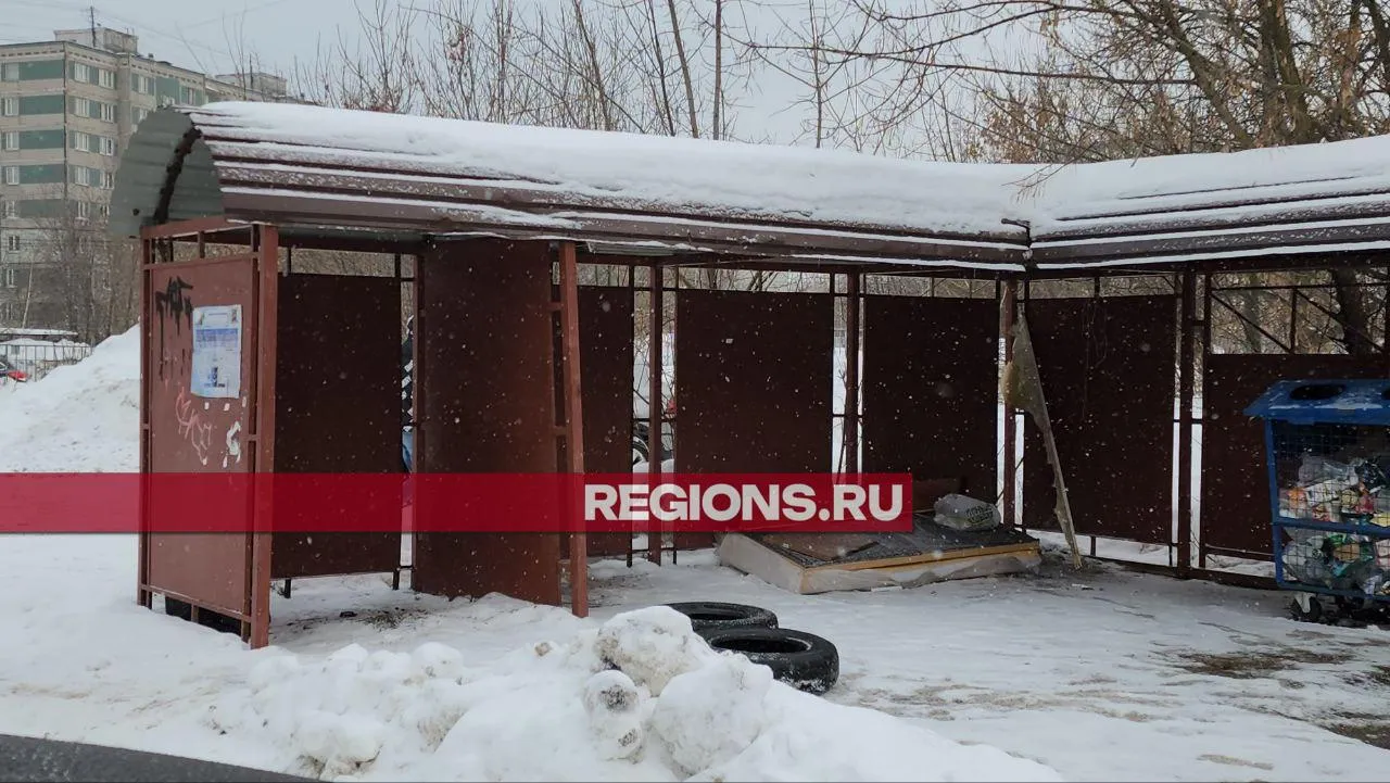 Фото: Роман Яковлев