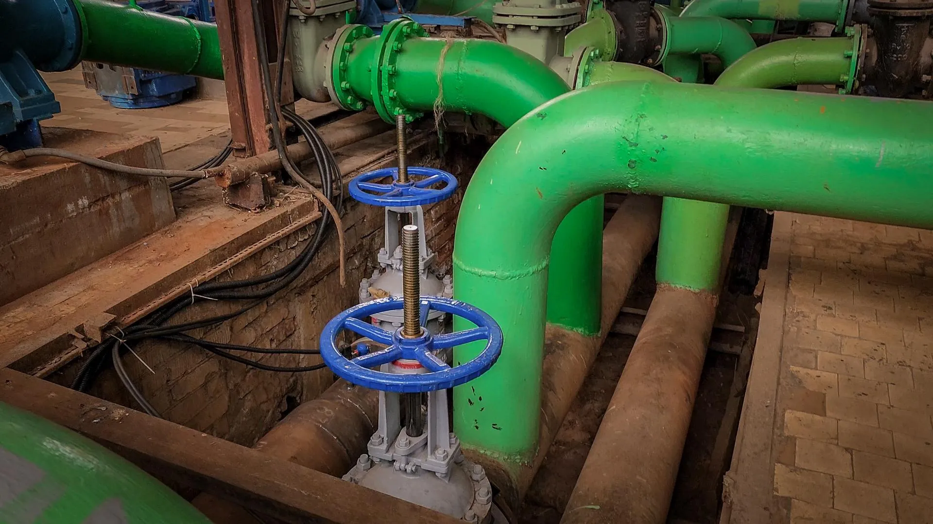 Фото: Ольга Антонова