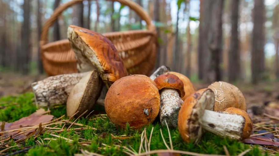 Фото: freepik.com