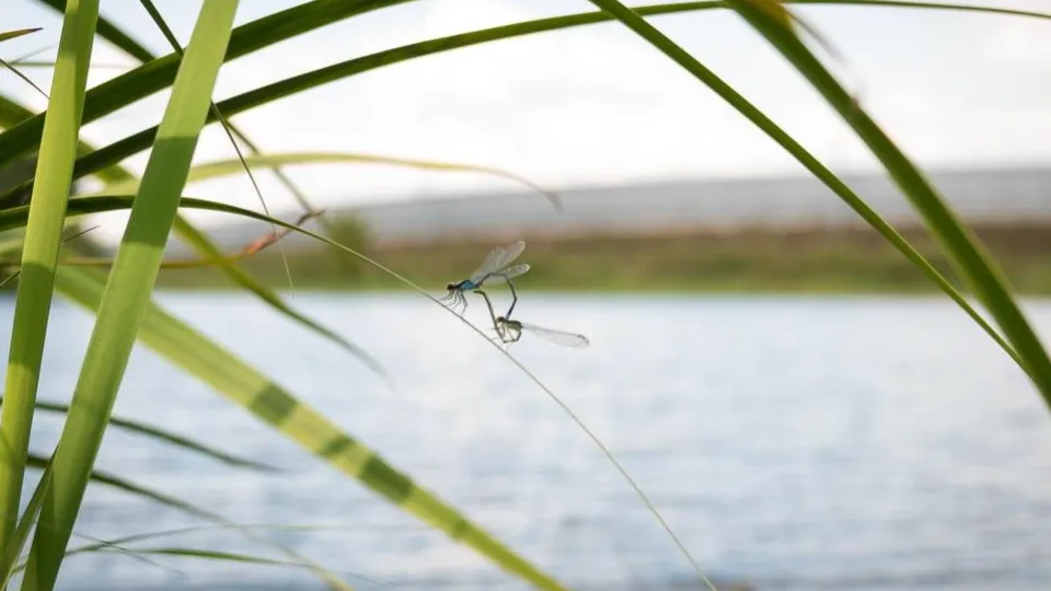 Фото: пресс-служба администрации г.о. Люберцы