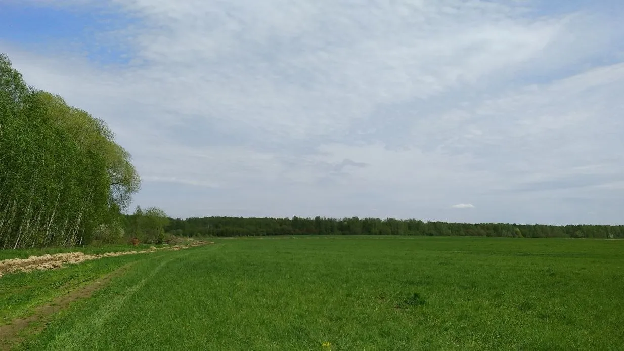 Фото: соцсети Деревня Данилово