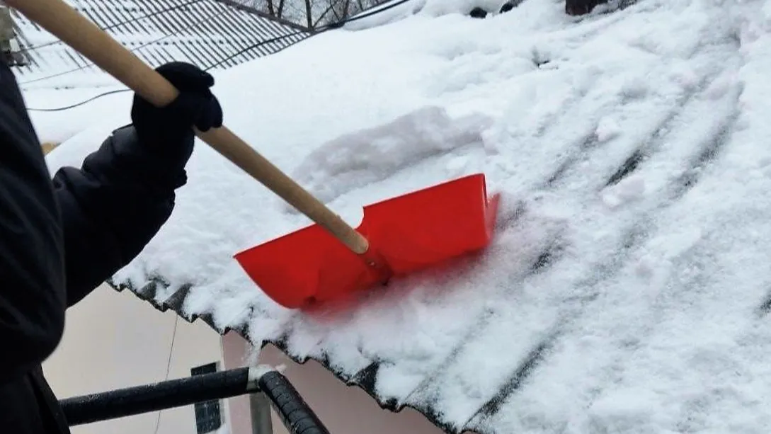 Фото: ГУСТ Московской области
