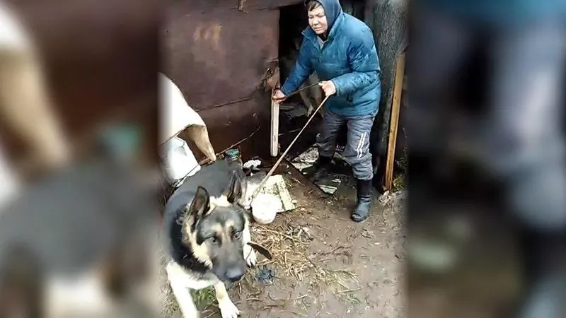 Алена Савина/vk.com