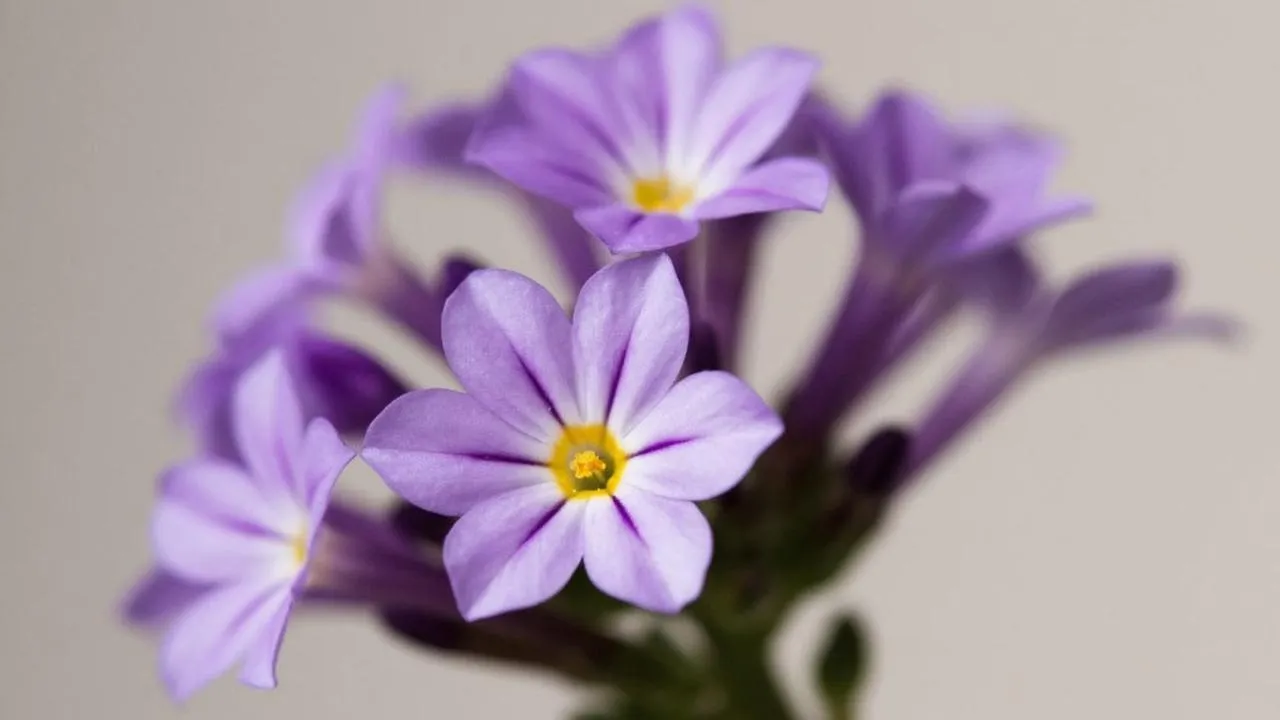 REGIONS/Сгенерировано нейросетью