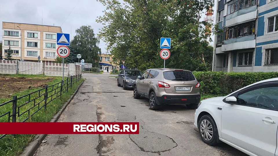 Фото: Александр Степушкин