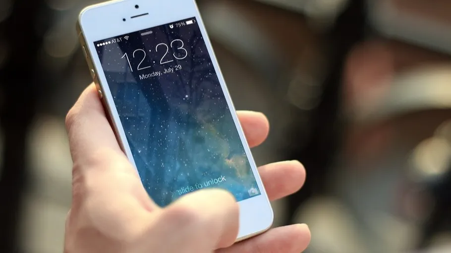 Фото: pxhere.com